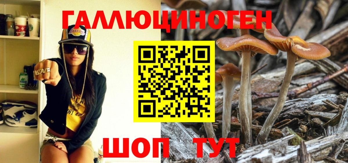Псилоцибиновые грибы Psilocybine cubensis  Вход с VPN  Красноперекопск 